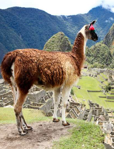 South America